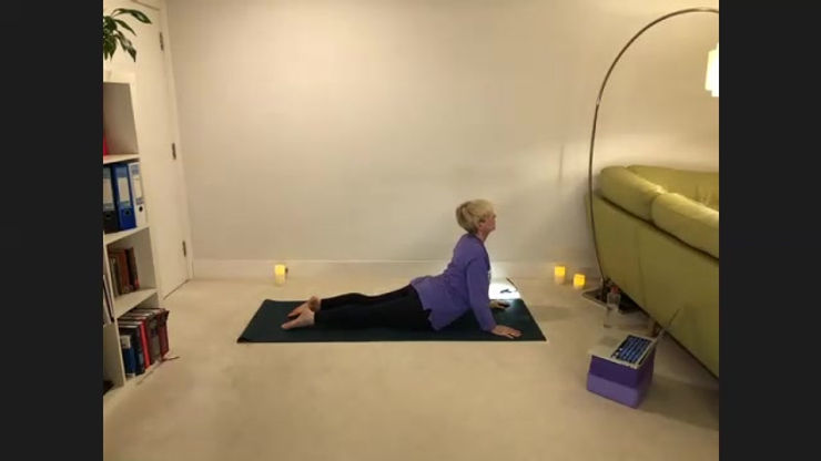 Back Flexibility (all abilities) 11.3.21